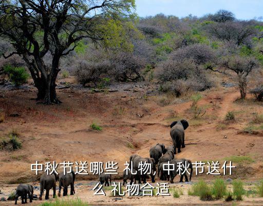 今年中秋送什么礼物好,中秋送什么礼物给客户合适呢