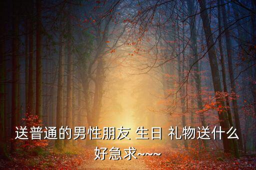 送普通的男性朋友 生日 礼物送什么好急求~~~