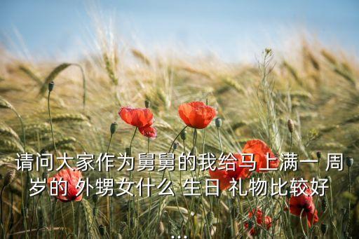 请问大家作为舅舅的我给马上满一 周岁的 外甥女什么 生日 礼物比较好...