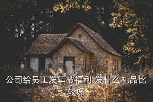 公司给员工发年节福利,发什么礼品比较好