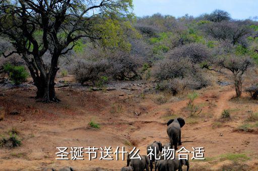  圣诞节送什么 礼物合适