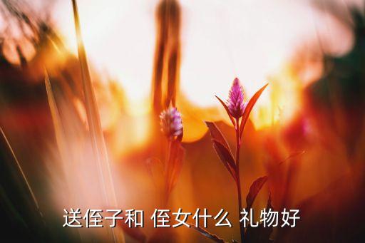 送侄子和 侄女什么 礼物好