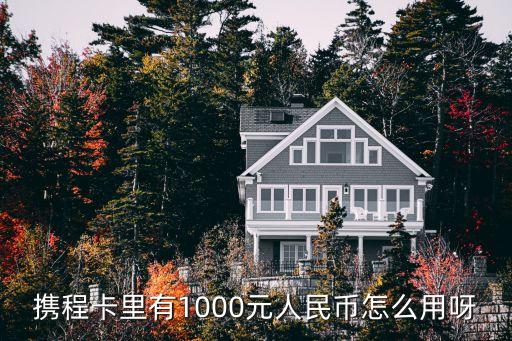 携程卡里有1000元人民币怎么用呀