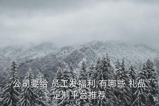 公司要给 员工发福利,有哪些 礼品定制平台推荐