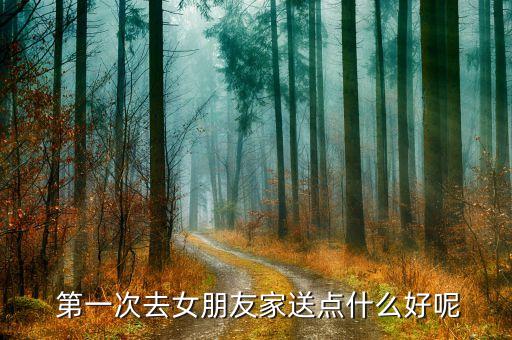  第一次去女朋友家送点什么好呢