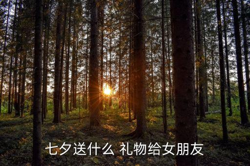 七夕送什么 礼物给女朋友