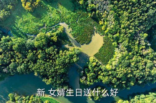 新 女婿生日送什么好