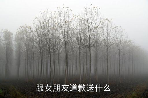 跟女朋友道歉送什么