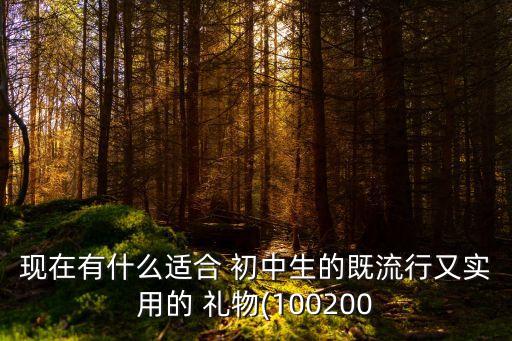 现在有什么适合 初中生的既流行又实用的 礼物(100200
