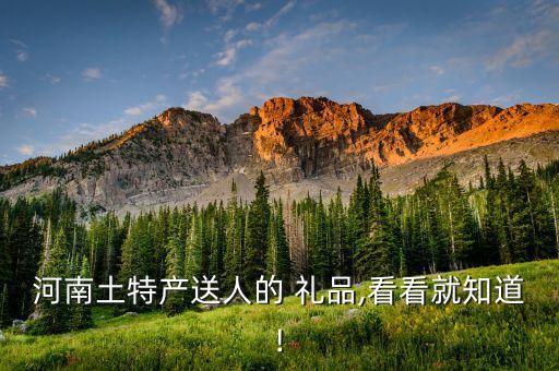 河南土特产送人的 礼品,看看就知道!