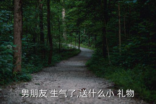 男朋友 生气了,送什么小 礼物
