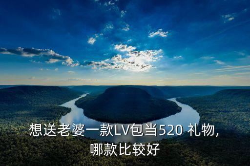 想送老婆一款LV包当520 礼物,哪款比较好
