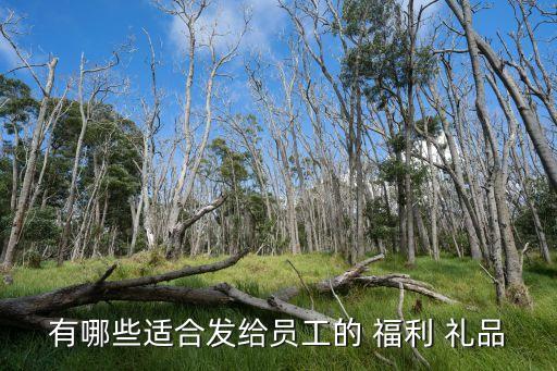 公司福利礼品选什么,单位福利发什么礼品好