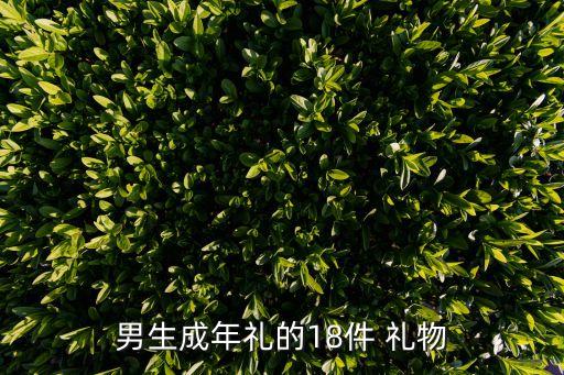男生成年礼的18件 礼物