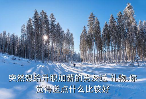 突然想给升职加薪的男友送 礼物,你觉得送点什么比较好