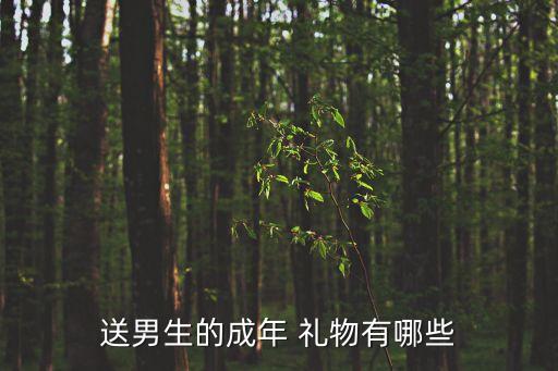 对象成人礼物,送给孩子18岁成人礼物