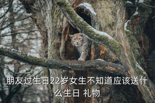 朋友过生日22岁女生不知道应该送什么生日 礼物