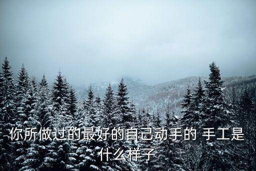 你所做过的最好的自己动手的 手工是什么样子