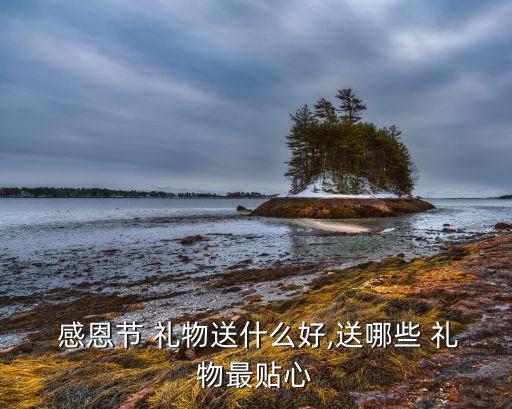 感恩节 礼物送什么好,送哪些 礼物最贴心
