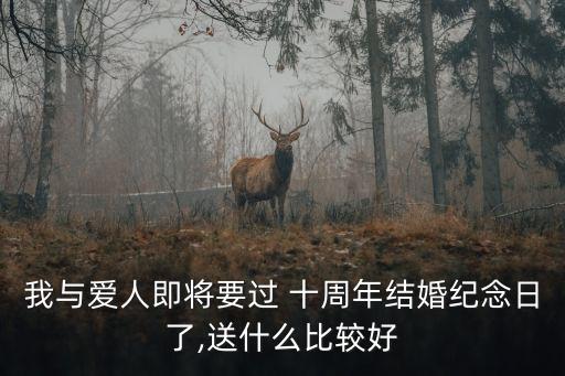 我与爱人即将要过 十周年结婚纪念日了,送什么比较好