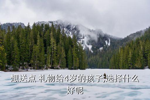 想送点 礼物给4岁的孩子,选择什么好呢