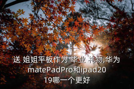 送 姐姐平板作为 毕业 礼物,华为matePadPro和ipad2019哪一个更好