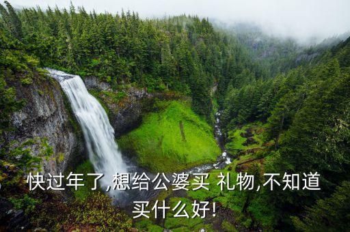 快过年了,想给公婆买 礼物,不知道买什么好!