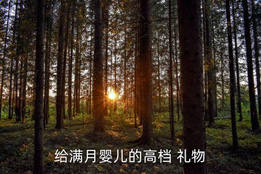 给满月婴儿的高档 礼物