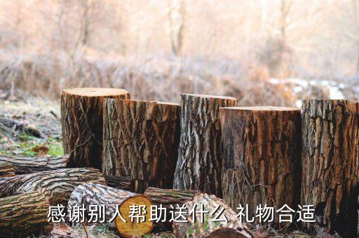 感谢别人帮助送什么 礼物合适