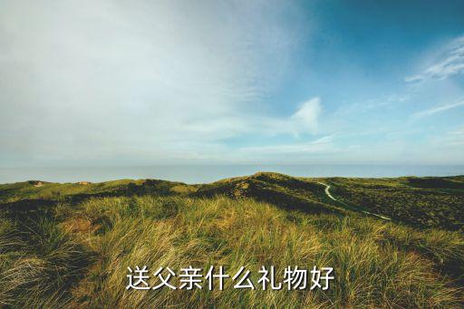 送父亲什么礼物好