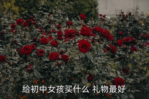给初中女孩买什么 礼物最好