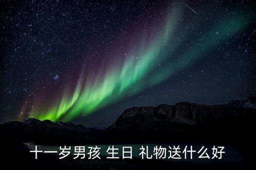 十一岁男孩 生日 礼物送什么好
