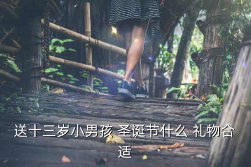 送十三岁小男孩 圣诞节什么 礼物合适