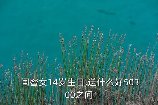  闺蜜女14岁生日,送什么好50300之间