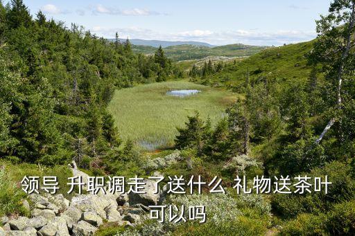 领导 升职调走了送什么 礼物送茶叶可以吗