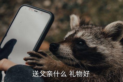 送父亲什么 礼物好