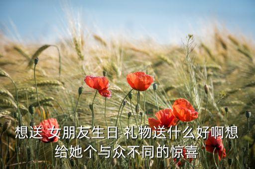 想送 女朋友生日 礼物送什么好啊想给她个与众不同的惊喜