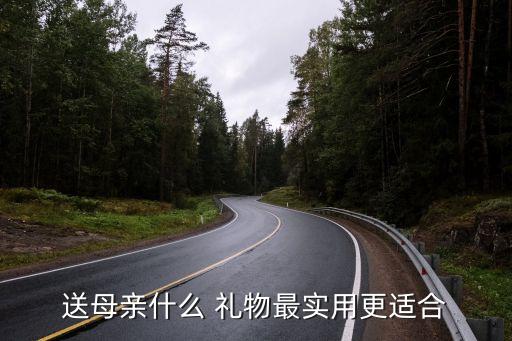 小学生送给母亲节的礼物好,送小学生女生礼物排行榜