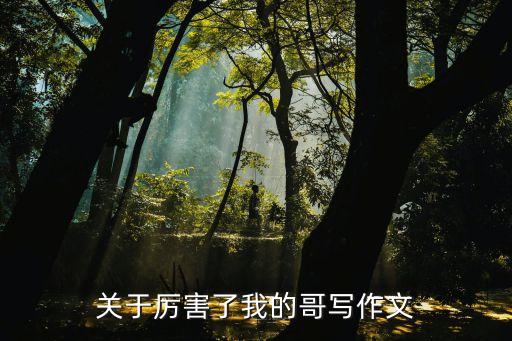 关于厉害了我的哥写作文
