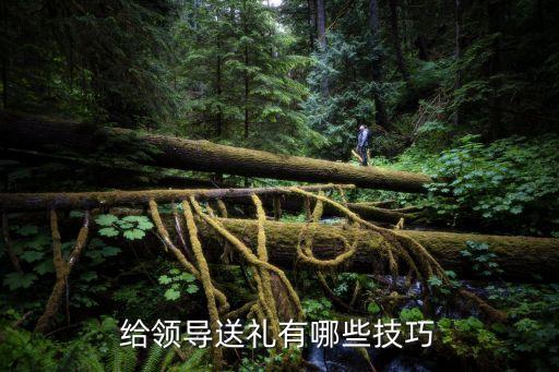 给领导送礼有哪些技巧
