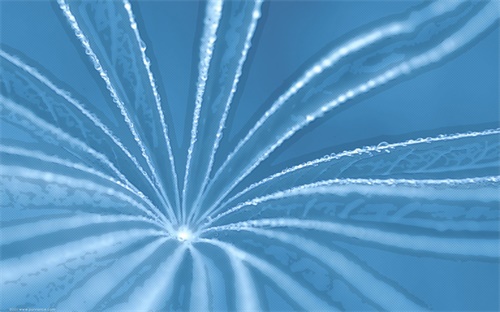 朋友订婚需要送什么礼物吗,新人结婚可以送些祝福礼物庆祝新年
